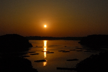 dc123134.JPG